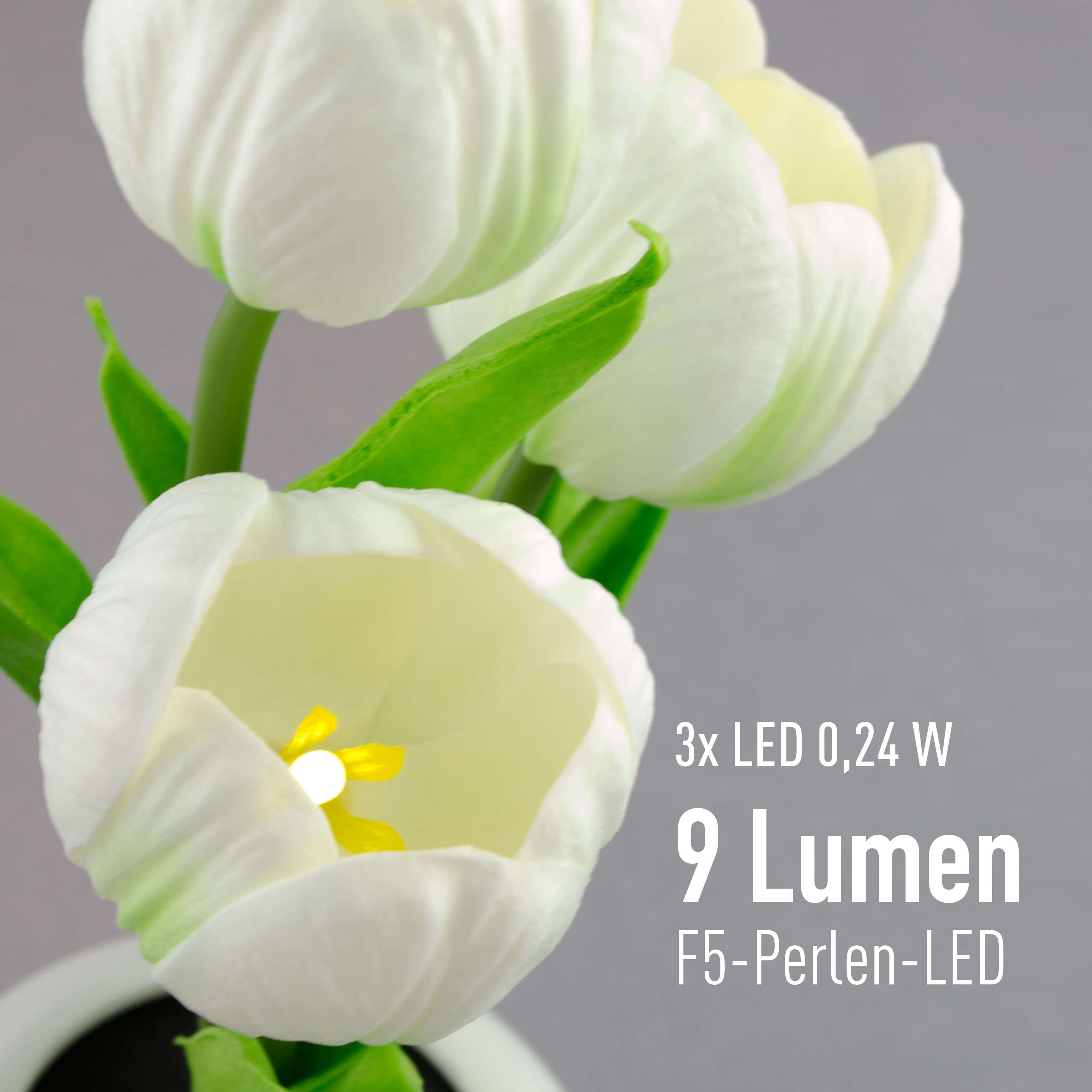 X4-LIFE LED Tulpen im Blumentopf, Deko Blumen inklusive Batterie - weiss