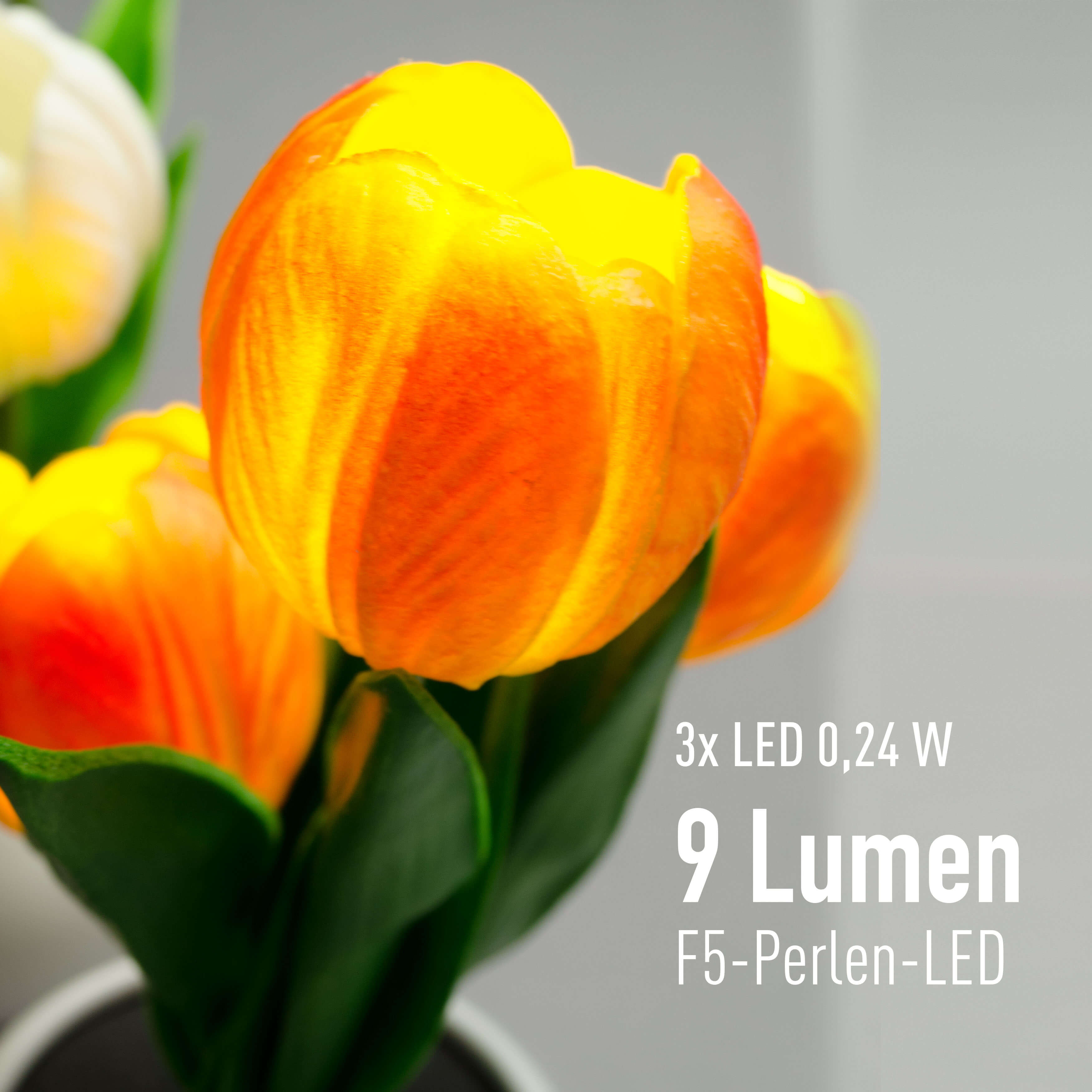 X4-LIFE LED Tulpen im Blumentopf, Deko Blumen inklusive Batterie - orange