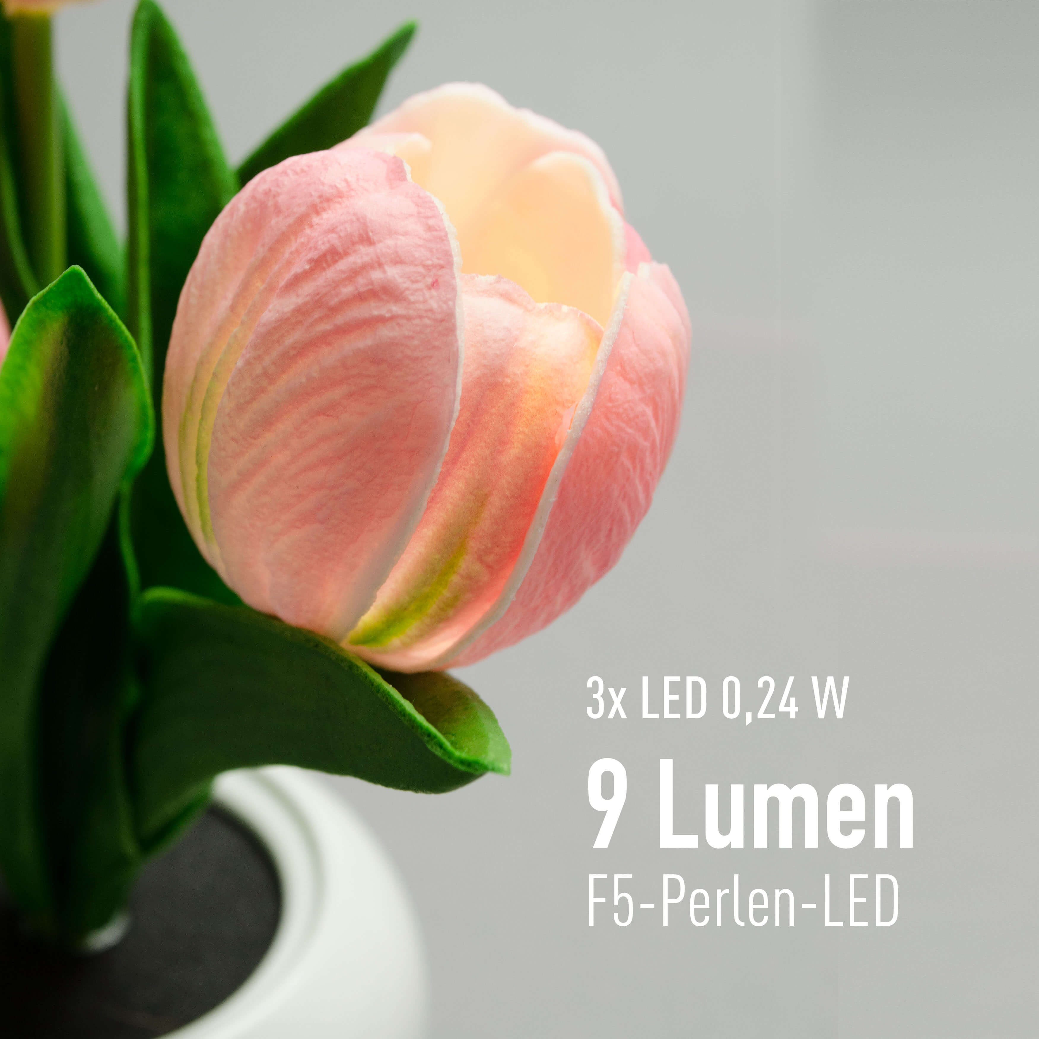 X4-LIFE LED Tulpen im Blumentopf, Deko Blumen inklusive Batterie - rosa